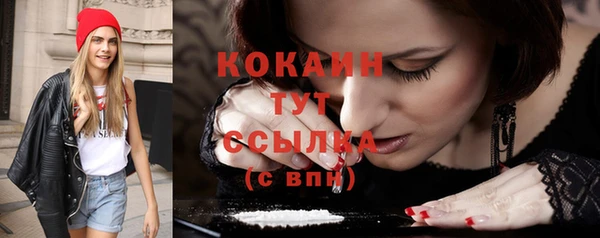 мяу мяу мука Майский