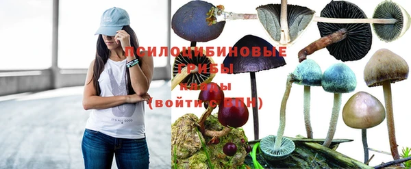 мяу мяу мука Майский