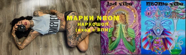 мдпв Магас