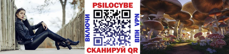 Галлюциногенные грибы Psilocybine cubensis  Купить закладки  Нижний Тагил 