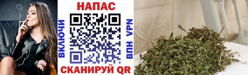 Канабис план  Купить закладки  Нижний Тагил 
